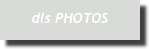 dls PHOTOS